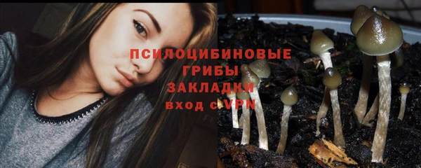 бутират Магадан