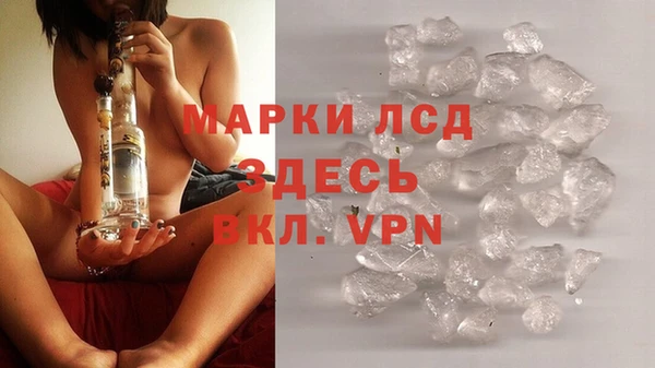 стаф Магас