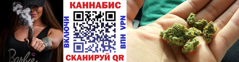 Канабис план  Малая Вишера 